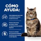 Hill's Prescription Diet Gastrointestinal Biome Pollo pienso para gatos, , large image number null